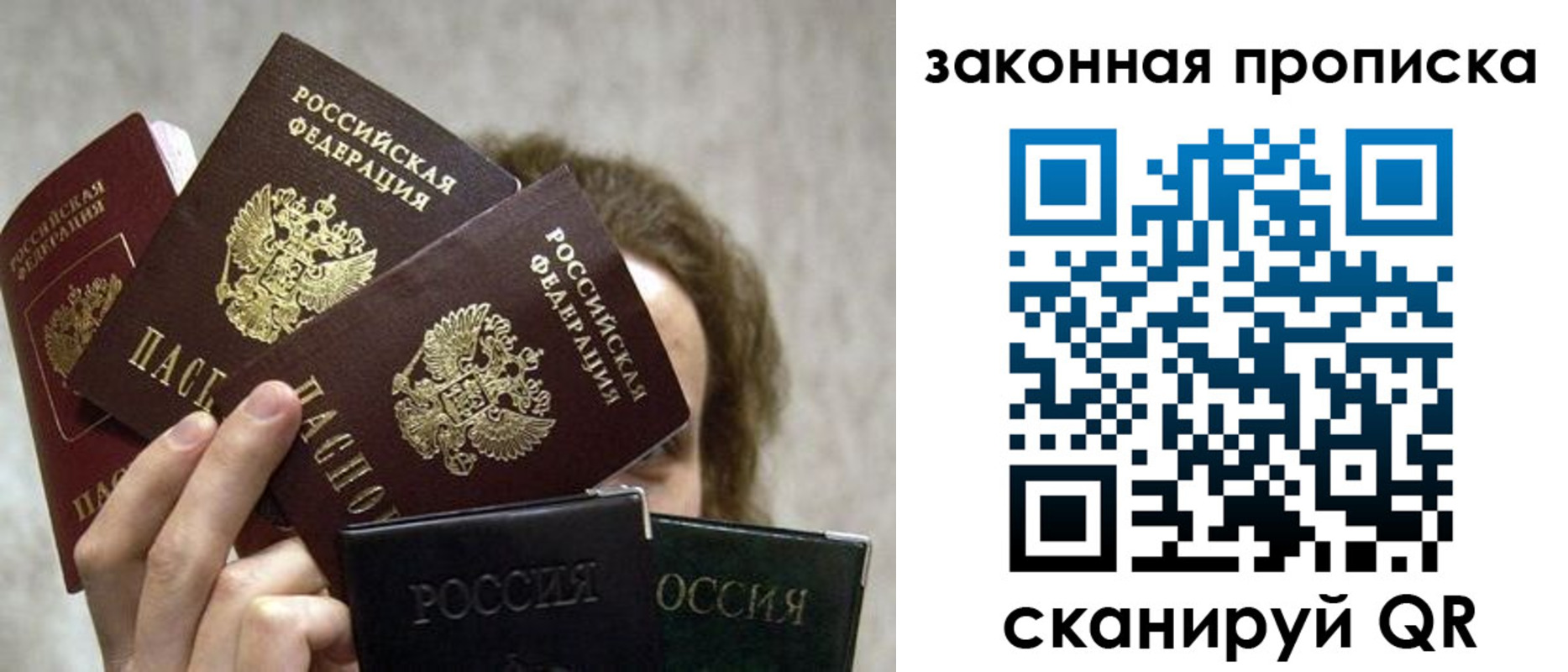 прописка законно в Клинцах